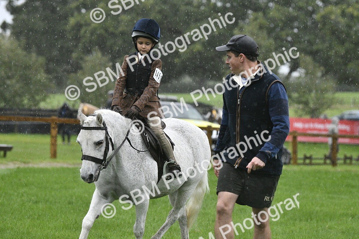 SBM_37116 - S31 - Novice & Newcomer Working Hunter Pony