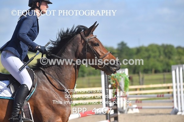 BPP_4467 - CLASS 2  Club/ Unaffiliated 80cms Open