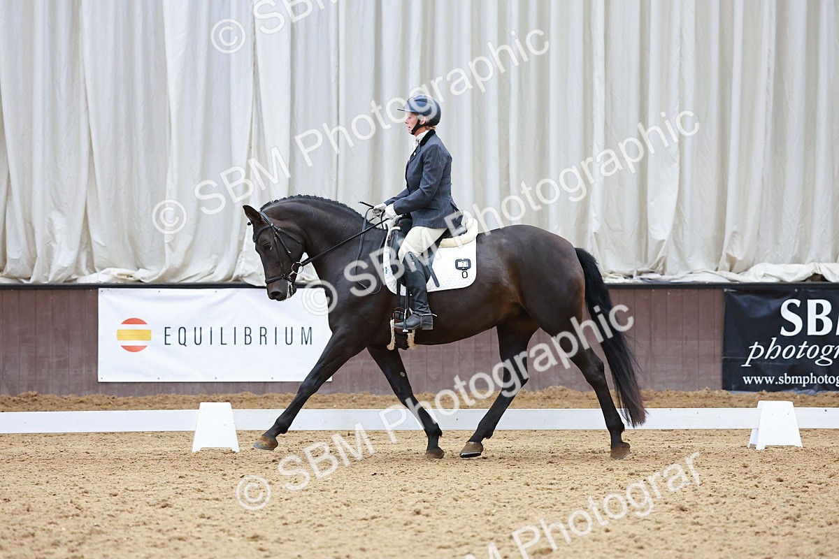 SBM_007538 - Class 4-5-6 - Prel 3-Novice 2-Ele 2