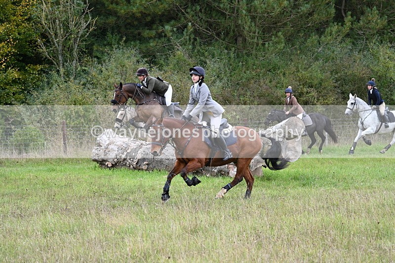 WJ7_3823 - Camera 1 Line 1