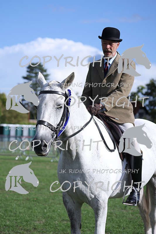 APP_4190 - Class 15a/b Pony club pony/Riding club horse
