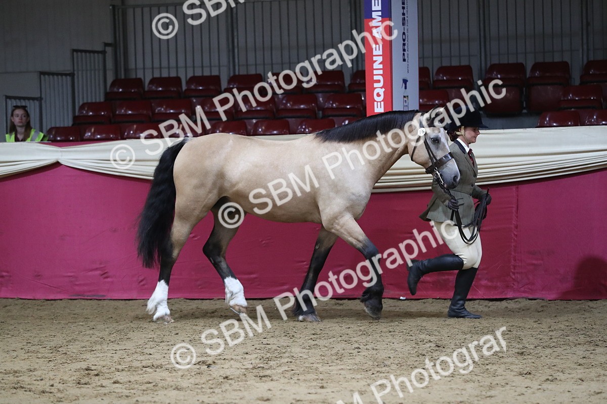 SBM_06315 - Class 9R Regional- IH Pre Vet