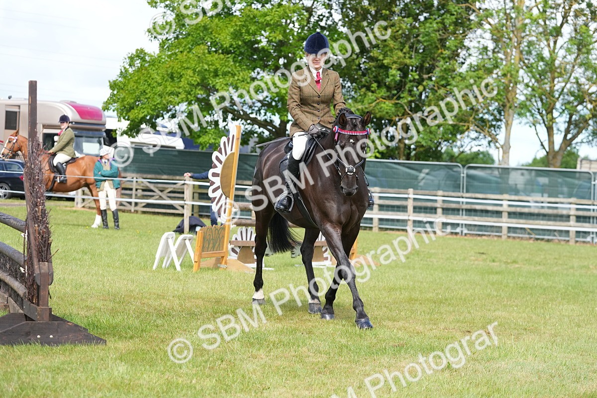 SBM_12877 - Class 99 - RIHS SEIB Working Show Horse