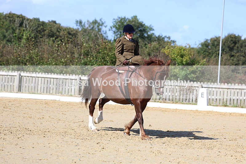 3E7A2777 - Class 4: Prelim 6 Section A Championship