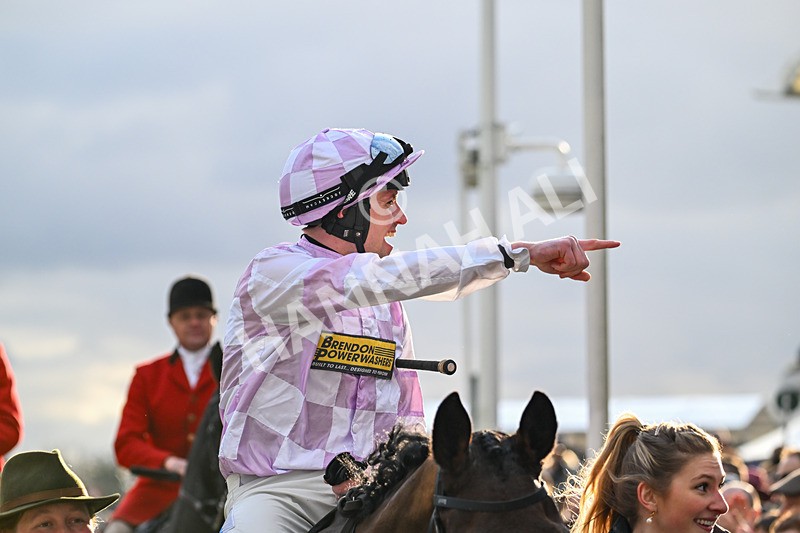 110325-Race 5-Golden Ace-3547 - 11th March