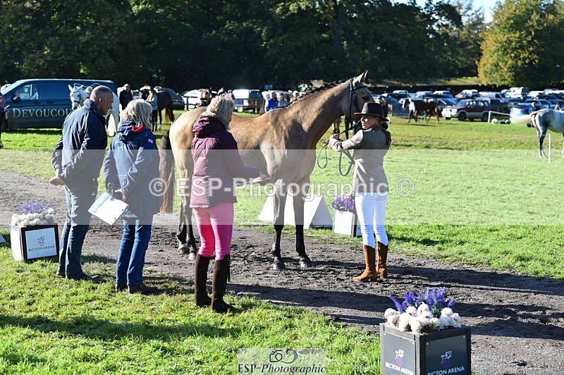 231022-110802-23744 - 498-SILVERLININGS.APHRODITE-Emily.Dobson-TrotUp+SJ