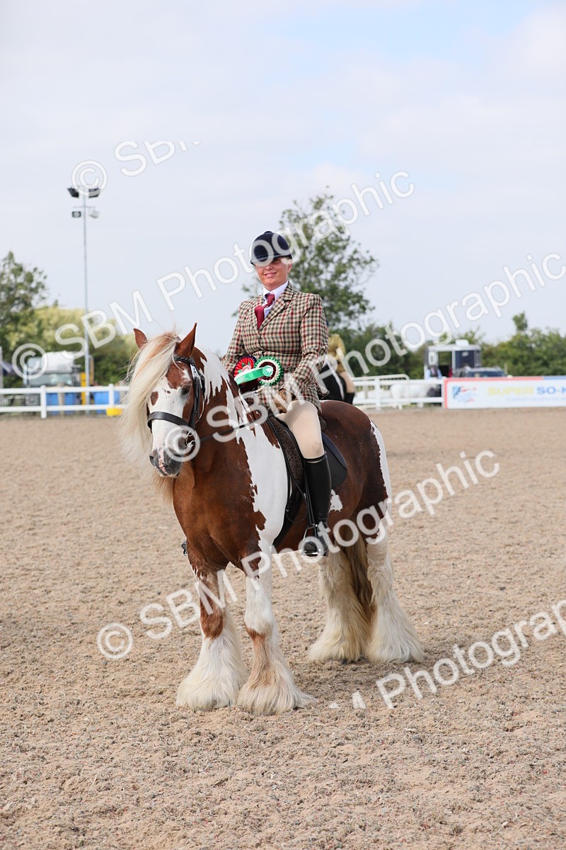 SBM_12863 - Class 307 Ridden Coloured Pony