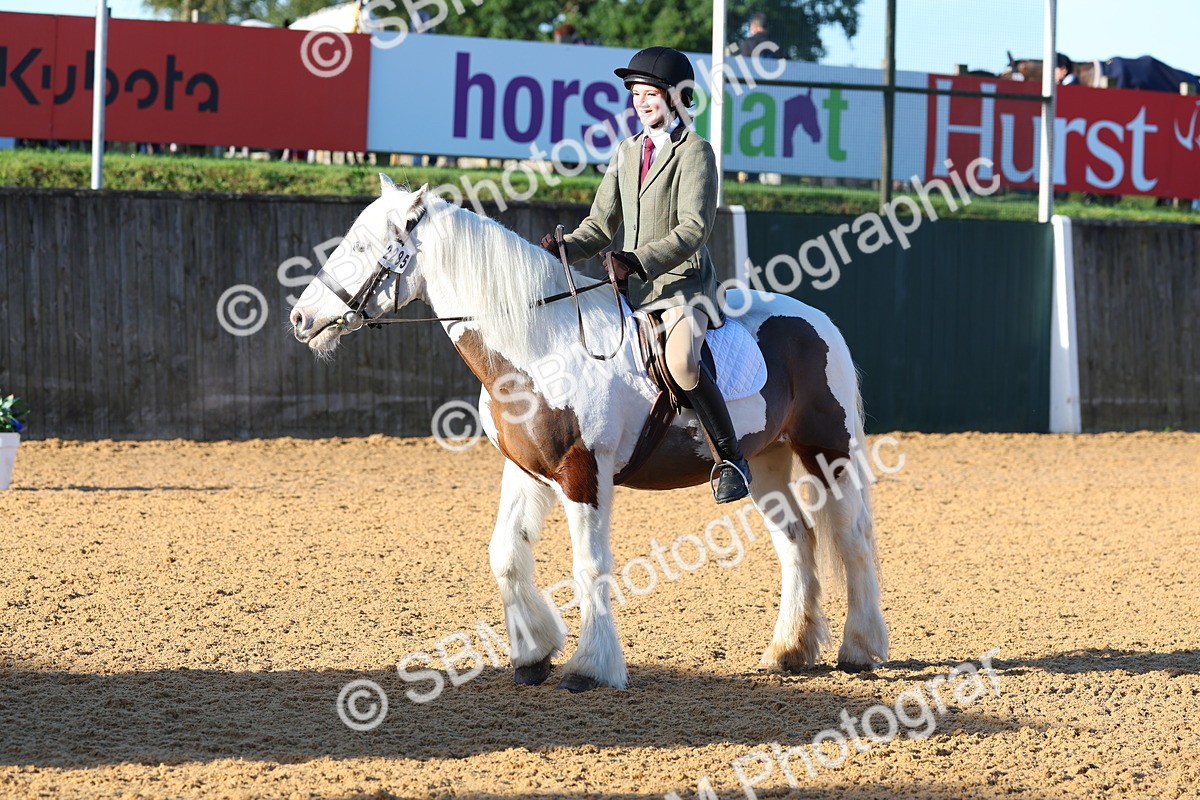 SBM_33819 - D27 - Have a Go