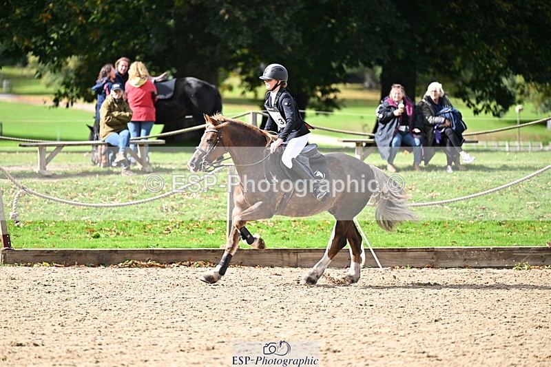 251005A-135933-04243 - Cls 09 Nov 80-85cm