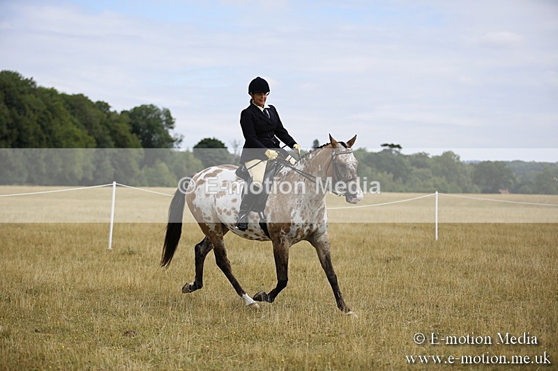 _C7A9505 - BVRC Show 2018 Ring 1