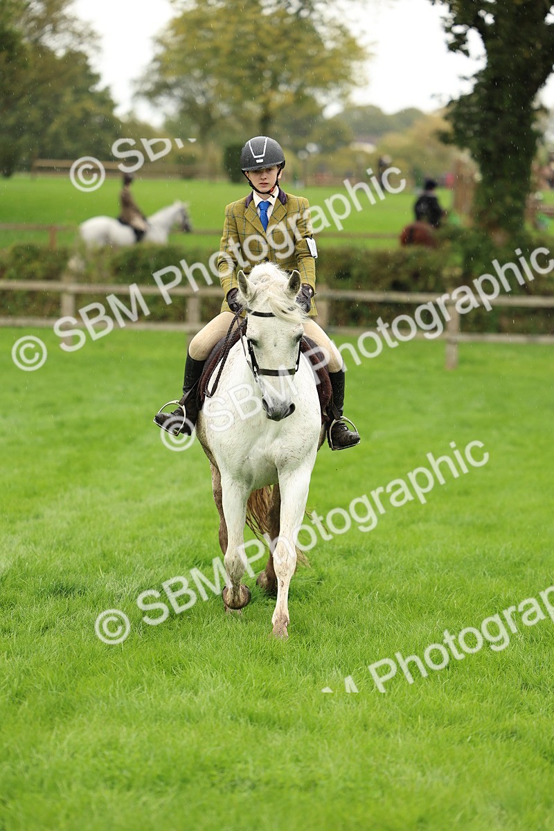 1I0A1455 - S32 - Mountain & Moorland Working Hunter Pony