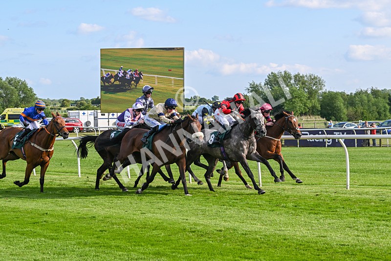 100625-Race 3-Stellarmasterpiece-6851 - Race 3