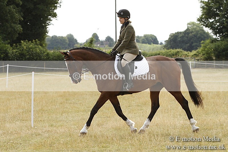 _BS_0670 - BVRC Show 2018 Ring 3