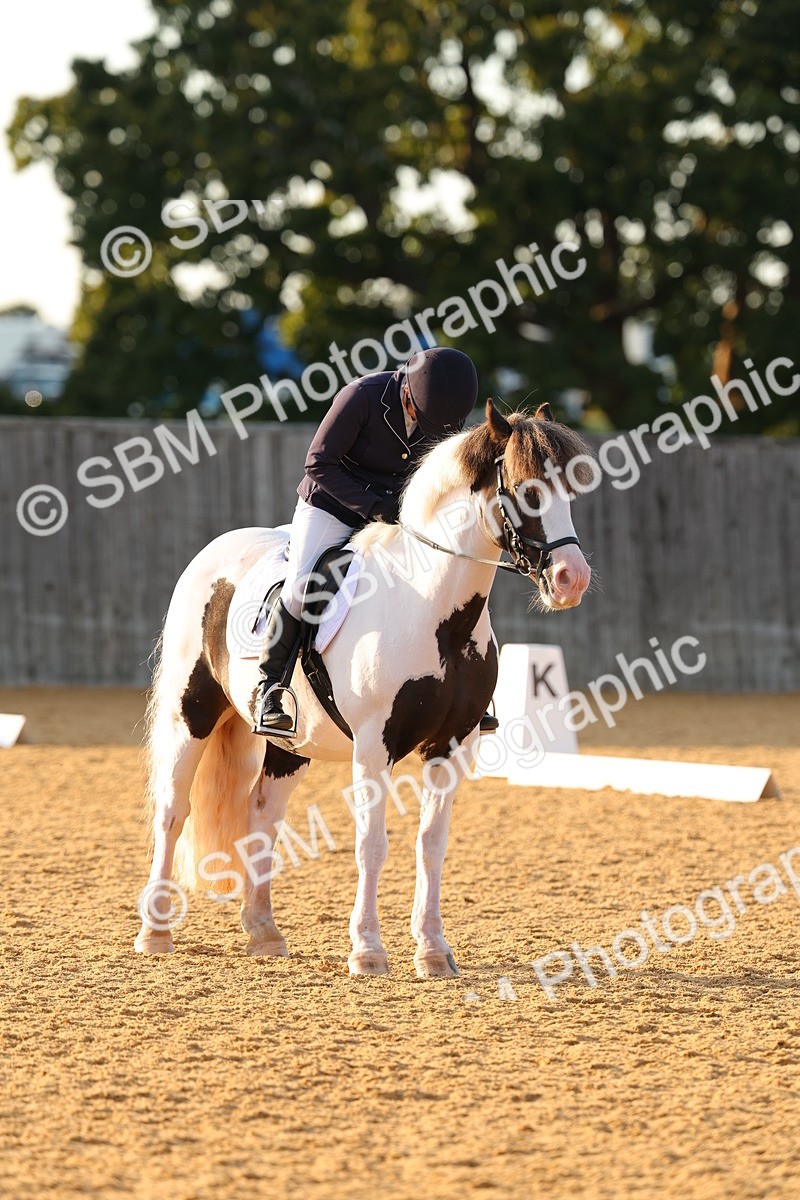 SBM_54565 - D12 - Small Tour Championship - Prelim 18