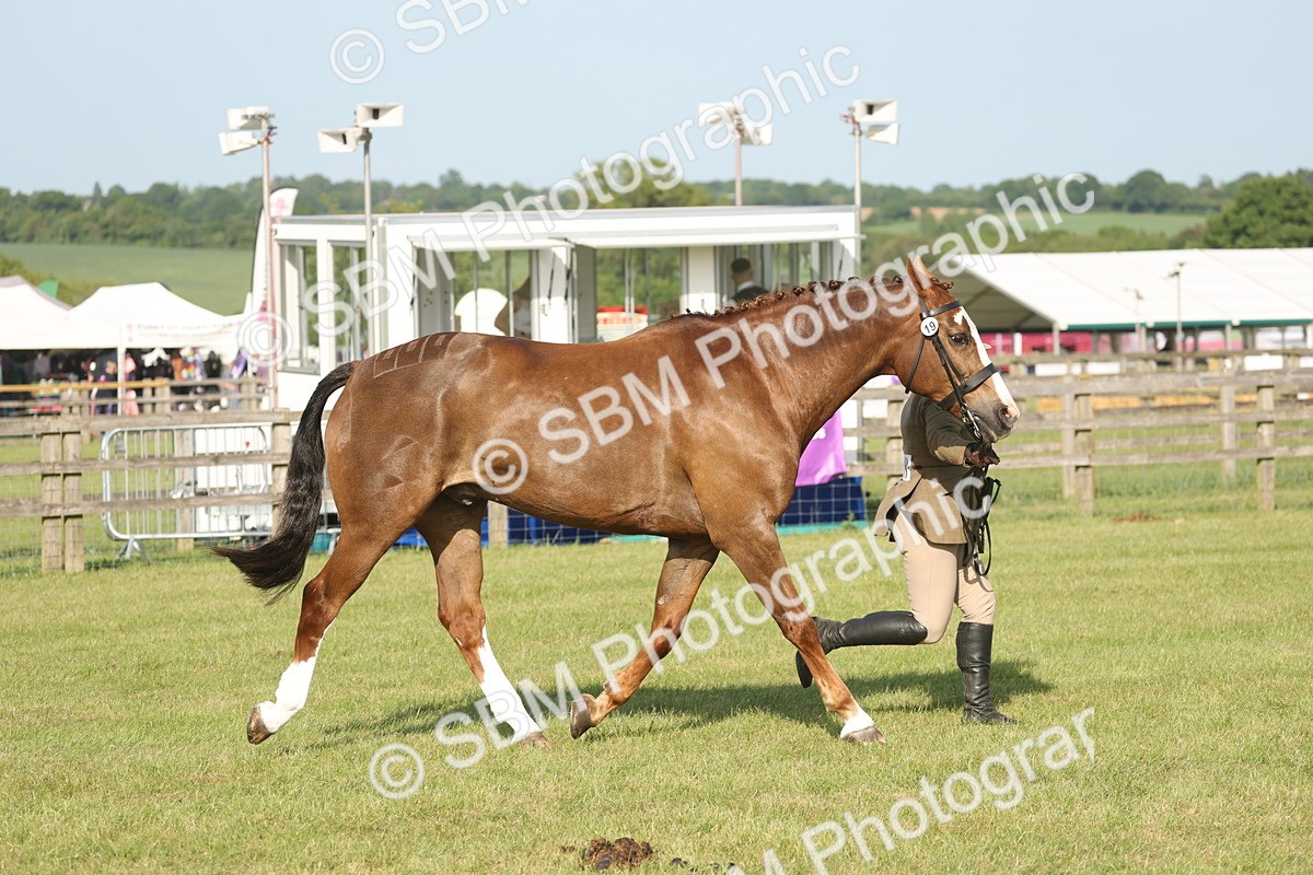 SBM_10483 - Class 33-38 - SSADL RIHS Qualifiers