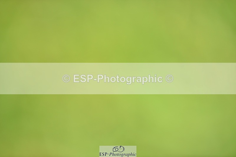 240605-134744-00516 - Cls 5 Elementary 43