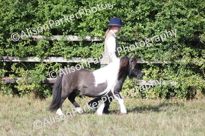 20250831-1619 - Class 22 - Mountain and Moorland Inhand