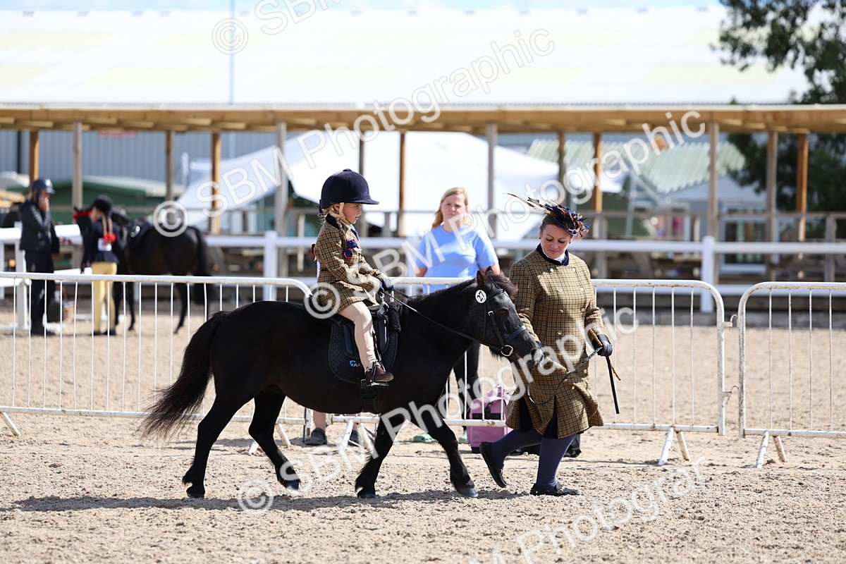 SBM_13045 - Class 309 - Lead Rein Pony