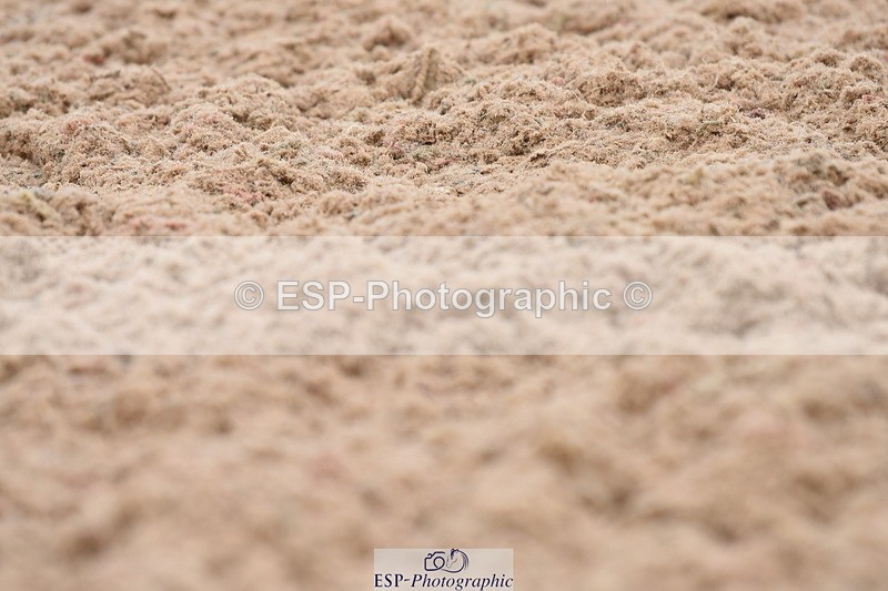 230630A-134348-02035 - Cls 17 FEI PSG