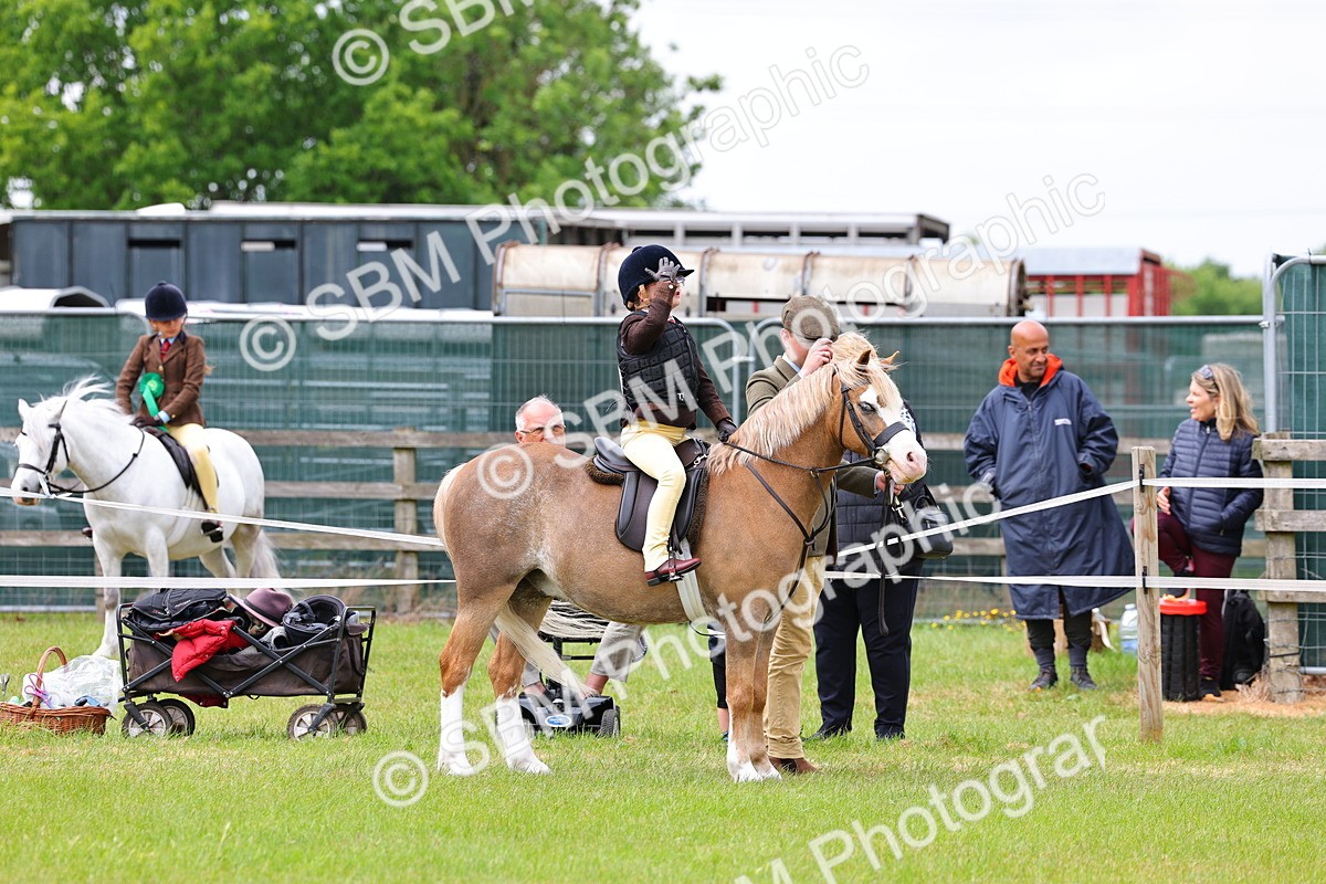 SBM_08183 - Class 42-43 - LIHS BSPS Heritage Working Sports Pony