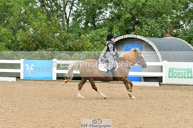 230804A-105851-01778 - Musical Ride