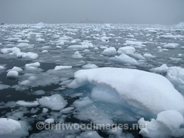 Neko Harbour, Andvord Bay - Antarctica
