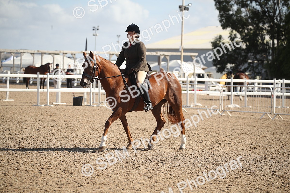 SBM_22967 - Class 603 - 2026 - Ridden Pre Vet
