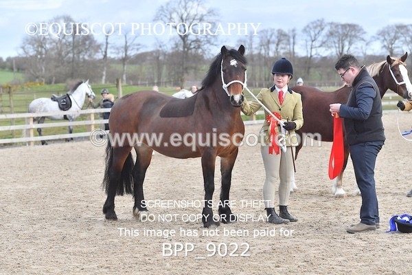 BPP_9022 - RING 2 - M&M