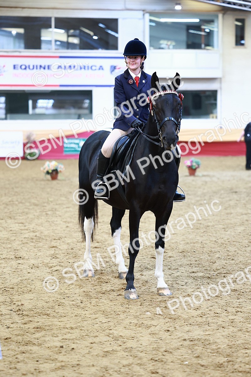 SBM_23389 - class 906 - Supreme Final - Ridden Pre Vet