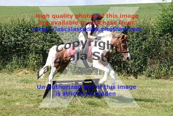 SNCP_0155 - N Group