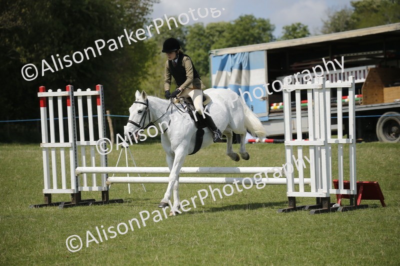 20250427-3637 - Class 14 - Absolute Novice 70cm