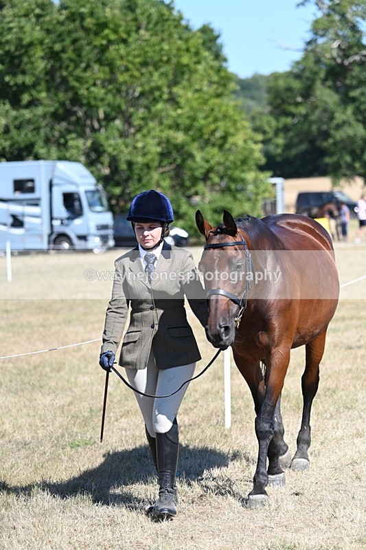 WJ7_1816 - Class 43 Best Six Legs (In hand)