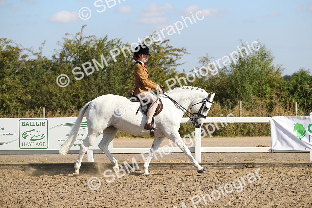SBM_02195 - Class 43 Ridden Competition Horse/Pony