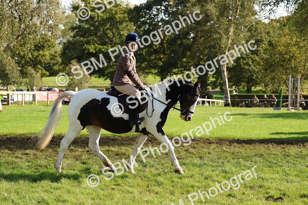 SBM_52369 - S13 - Pony Club Pony