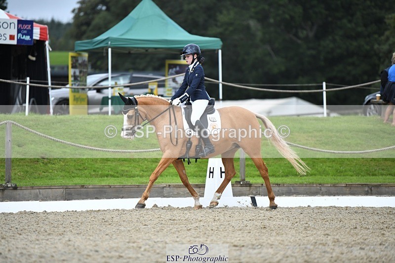 230812-123841-04170 - Cls 6 Novice Silver 12.10 to End