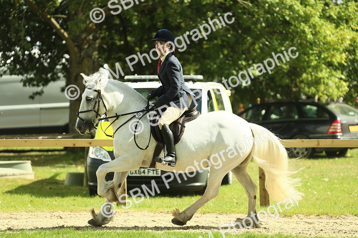 SBM_42935 - S30 - M&M Working hunter Pony