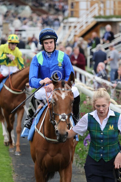 yr24092021r6-7 - Race 6 4.25pm William Hill Pick Your Places Stakes