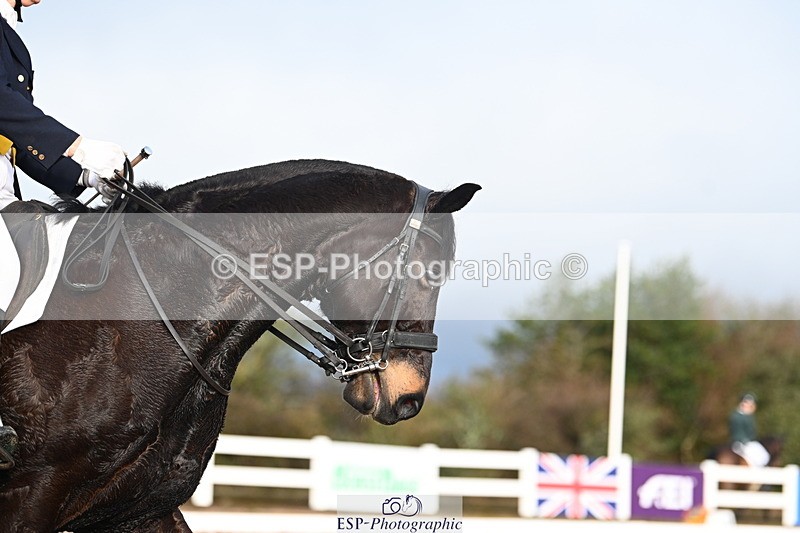 240218A-093037-05135 - 181-sue.langley-S-Cal8