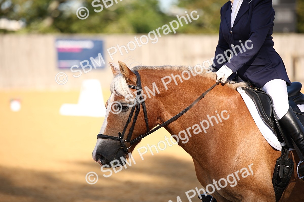 SBM_18378 - D31 - Grand Tour - PYO Open