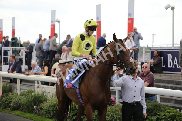 yr20082022r2-22 - Race 2 2.35pm Sky Bet Melrose Stakes