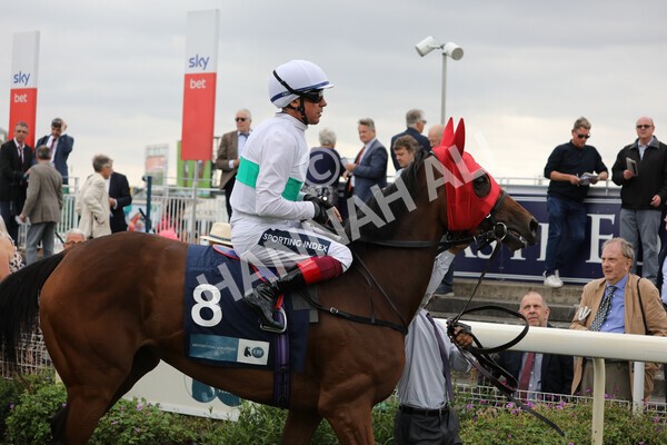 yr18082022r5-7 - Race 5 4.10pm British EBF & Sir Henry Cecil Galtres Stakes