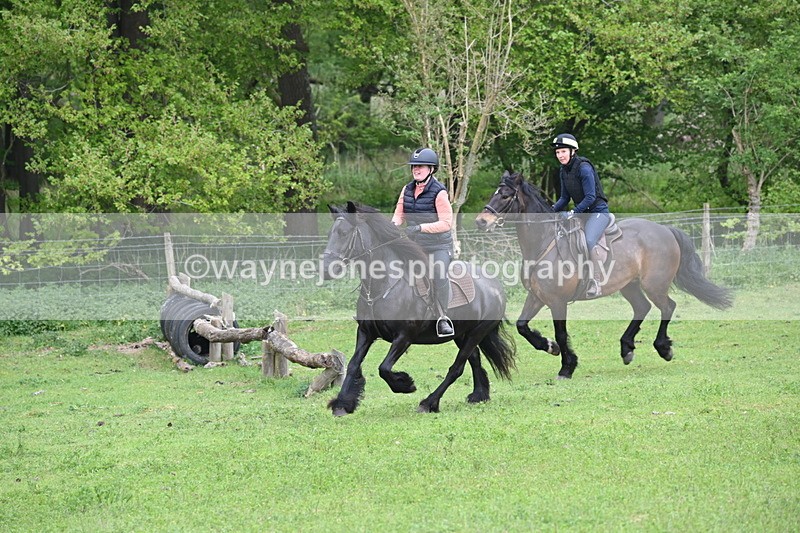 WJ6_2667 - A camera