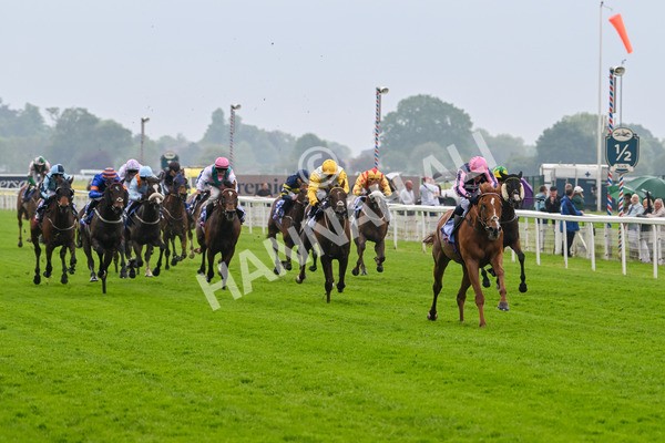 150524-Race 1-Crystal Delight-3552 - Race 1 2.15pm Sky Bet Race To The Ebor Jorvik Handicap