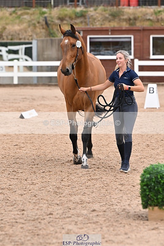 250716-143408-01210 - Trot Up 2.30 to 3.30