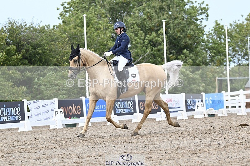 250907-131655-09884 - 025-Carrie.EveGekkos.Gold