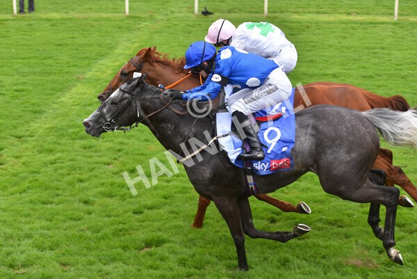 yr24072021r2-20 - Race 2 2.40pm Sky Bet Dash