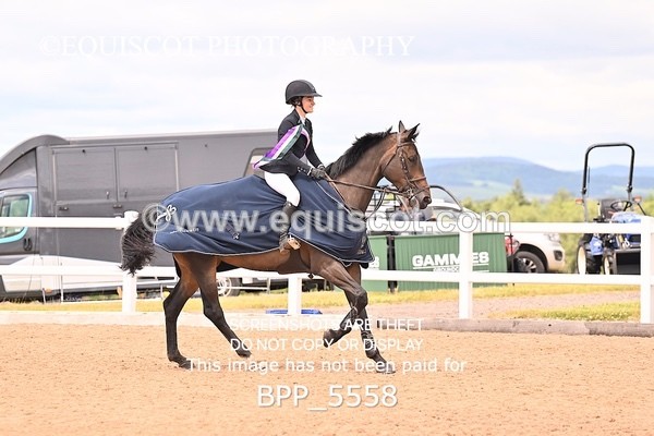 BPP_5558 - CLASS 8 THURS HOYS GFS Saddles Senior Newcomers Second Round