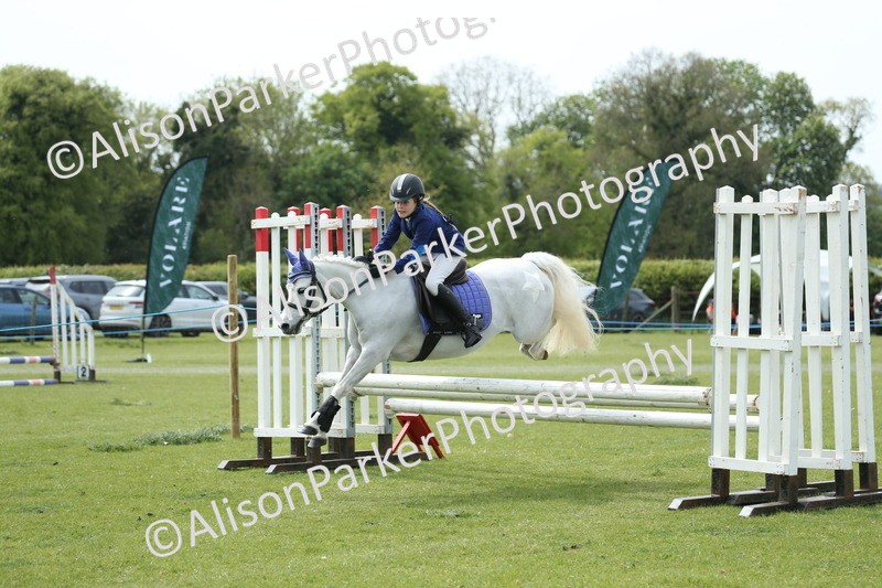 20260426-2019 - Class 15 - Absolute Novice 70cm