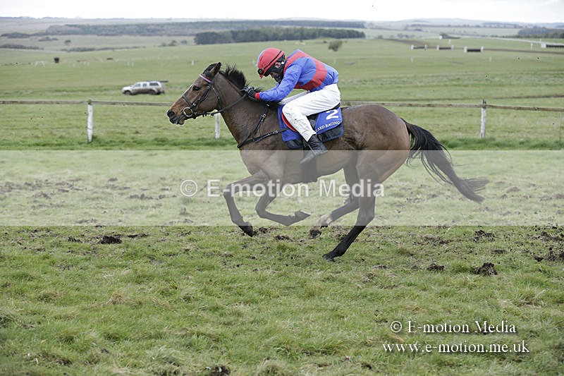 PtP 150320 0946 - New Forest Point-to-Point Larkhill 15/03/20