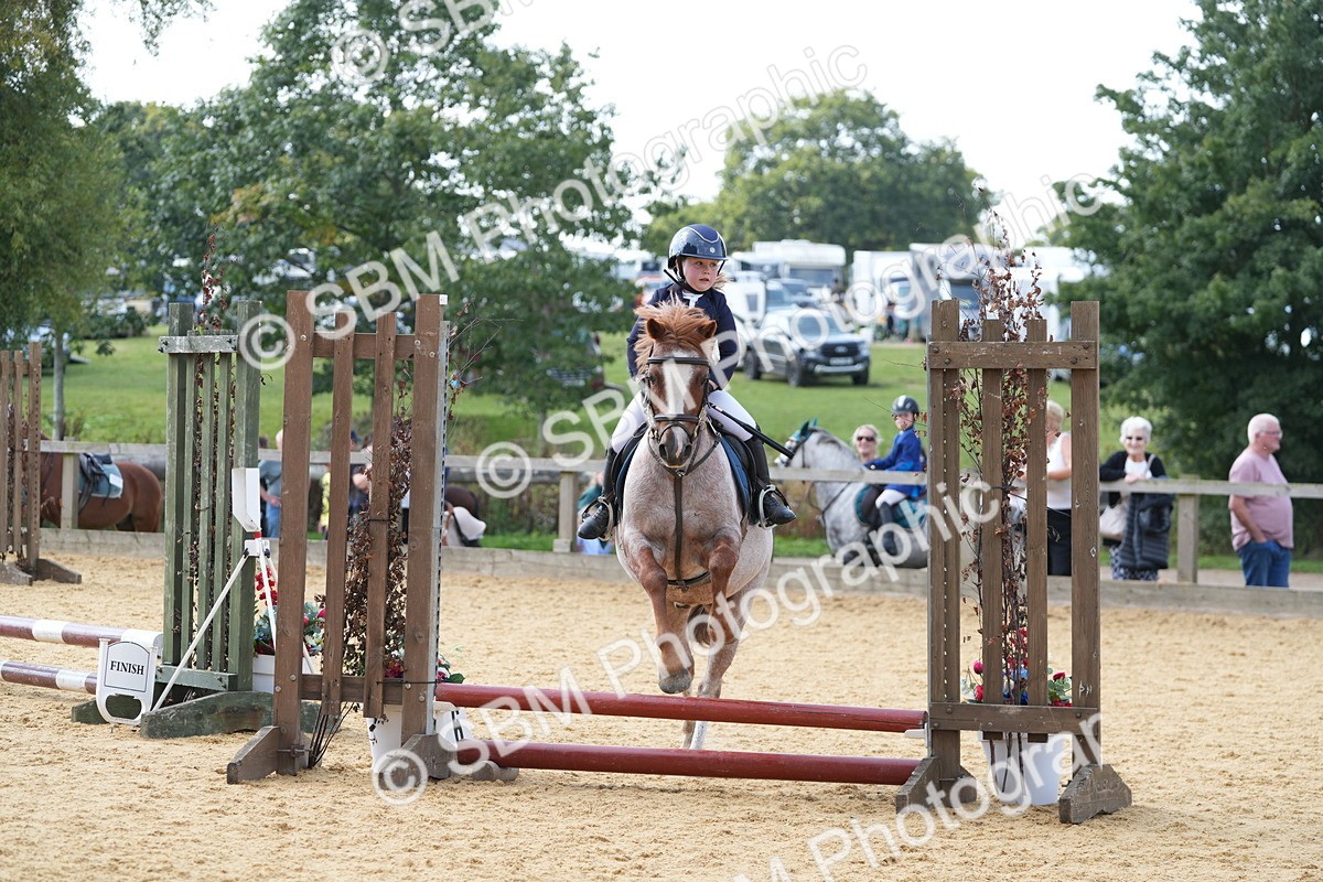 SBM_68316 - J3 - Mini Tour Junior Pony 40cm Championship